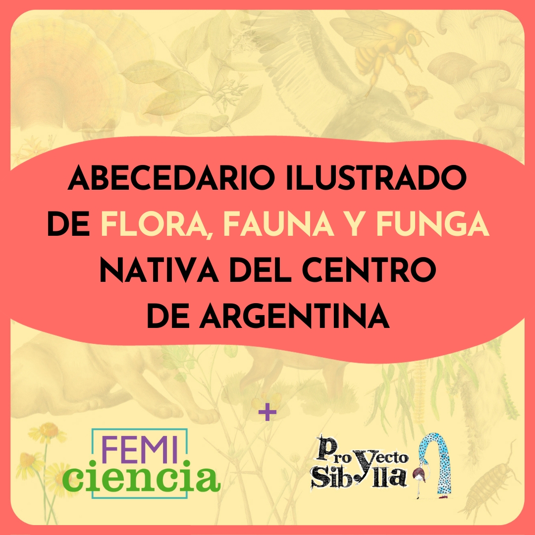 Newsletter Vol. XVI - Abecedario ilustrado de flora, fauna y funga nativa del centro de Argentina