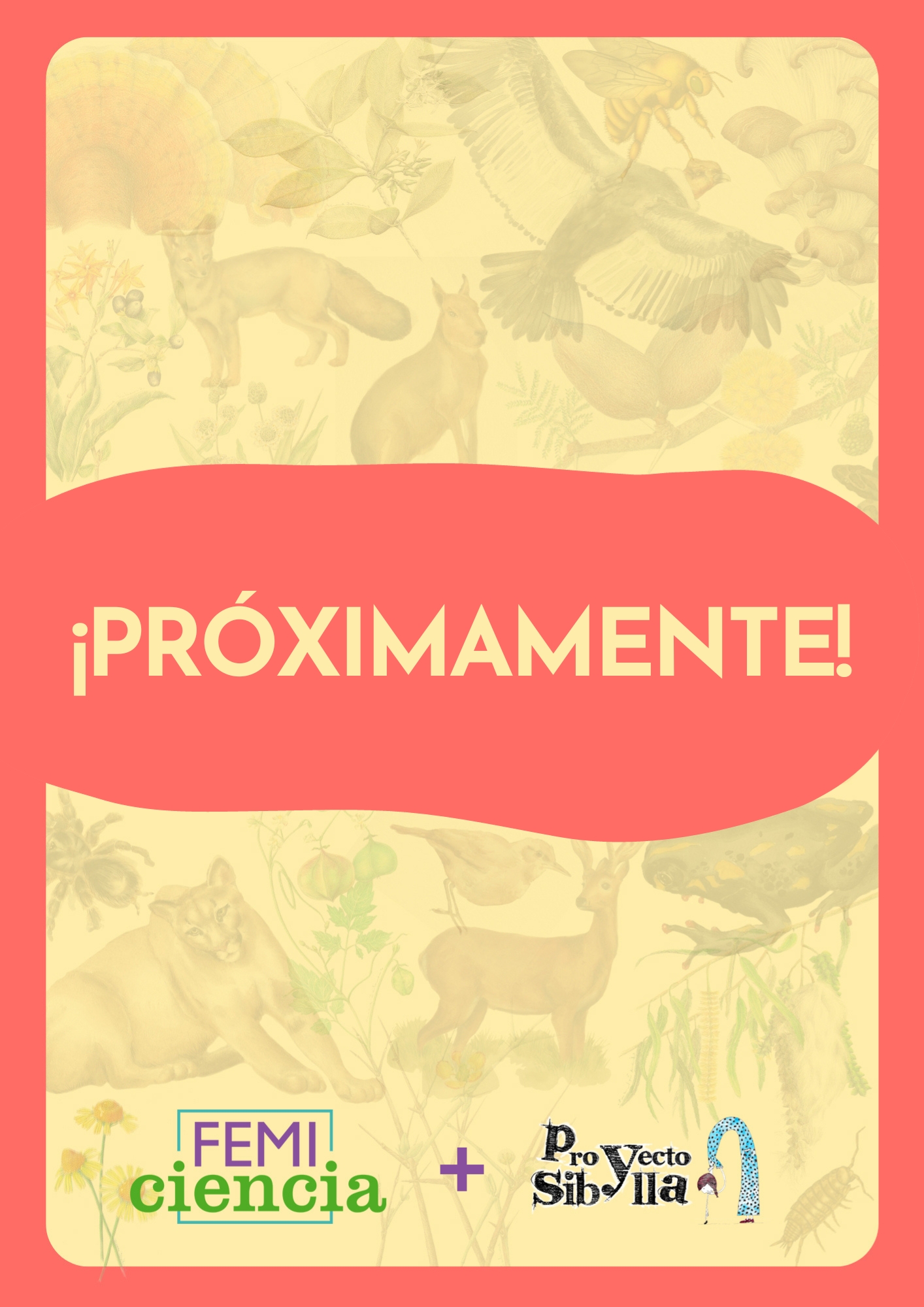 abecedario flora y fauna