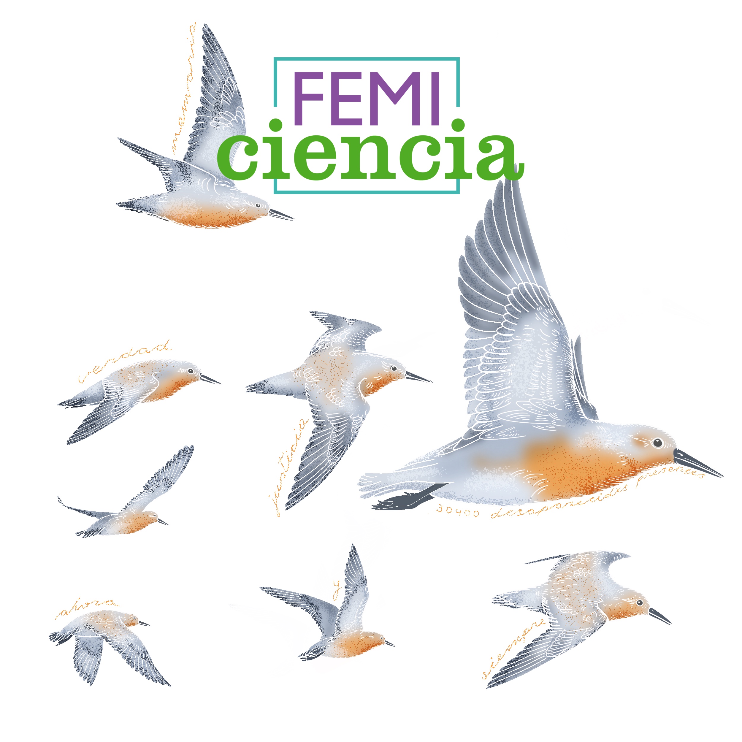 Newsletter Vol. XX - Edición Especial - 24M
